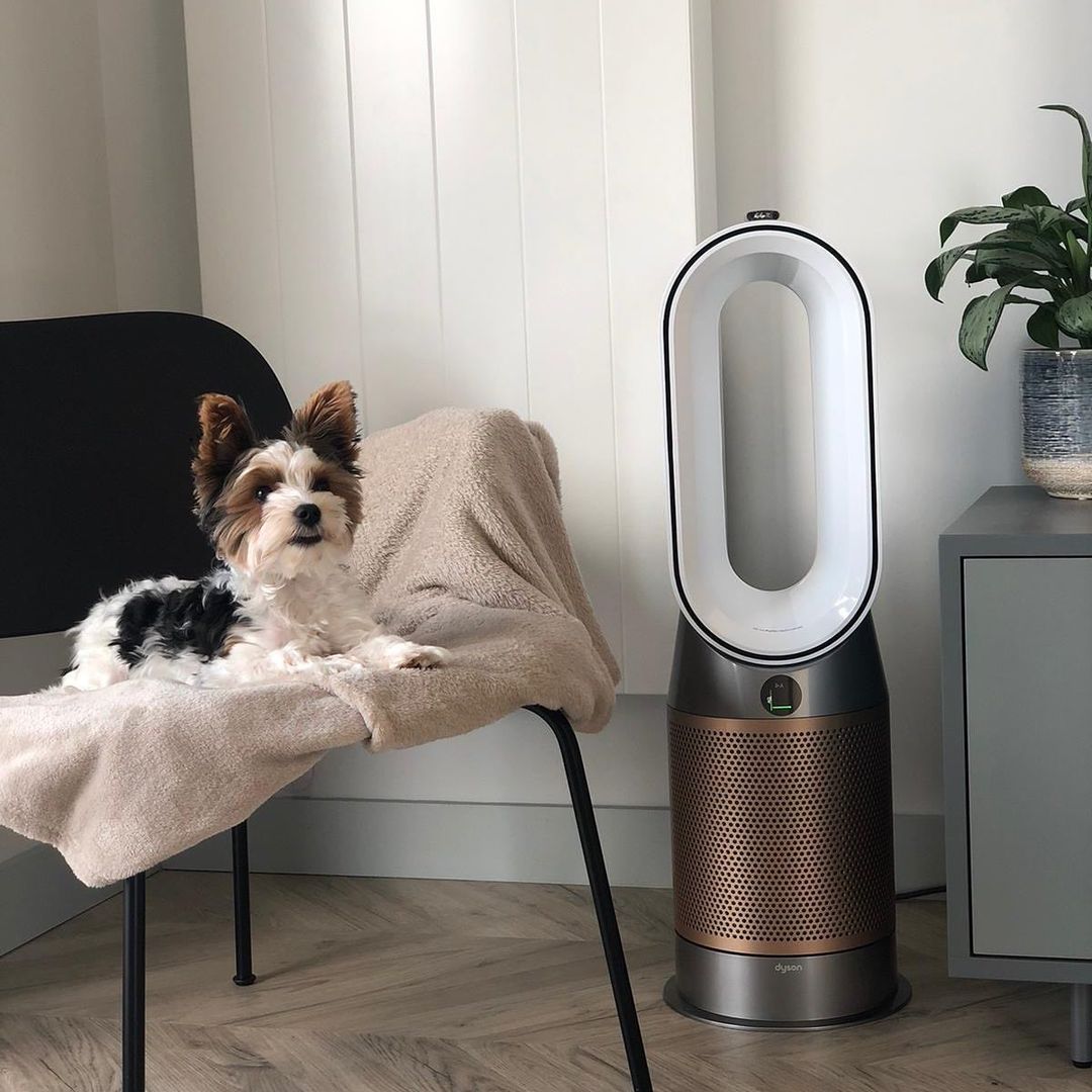 Sửa lọc khong khí Dyson